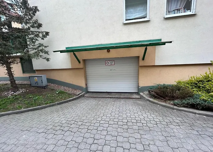 Zielony Zakatek